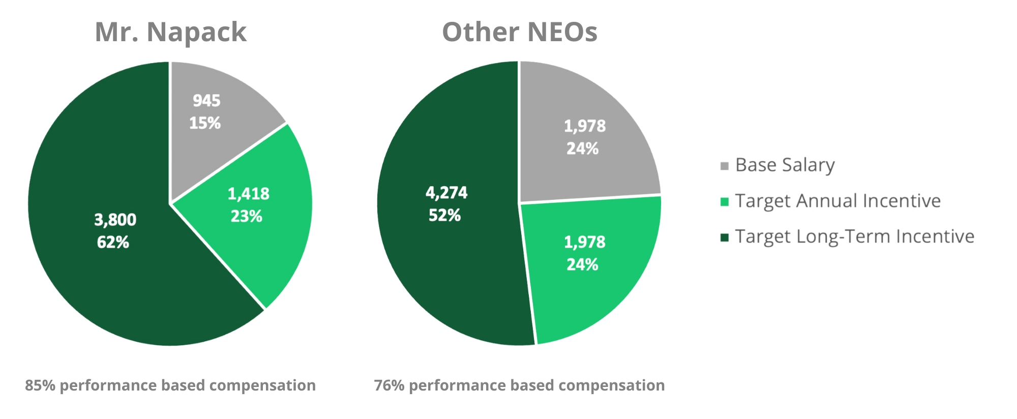 Compensation_Snapshot_CEO_NEO.jpg
